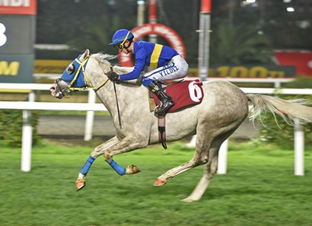 Gürkan H. Oker Koşusu'nu Şenalptuğ kazandı