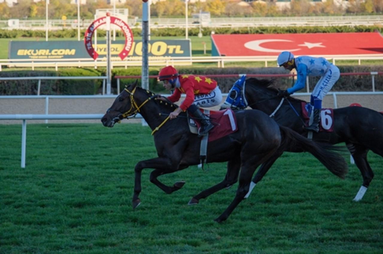Eskişehir Sanayi Odası Koşusu’nu Aimus Liberatus kazandı