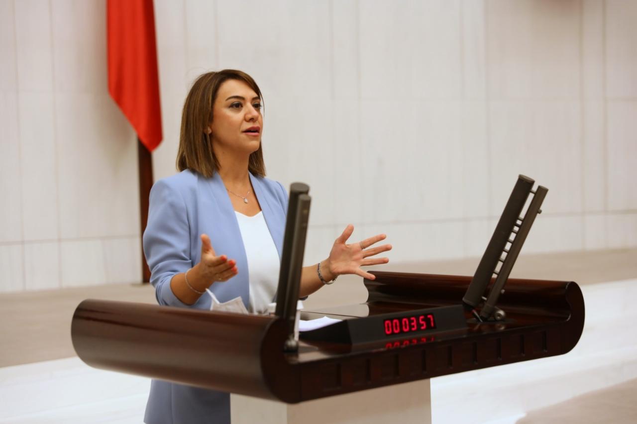 Gamze Taşcıer: “Bu Ülkenin Memurundan, Asgari Ücretlisinden, İşçisinden Korkmayın, Onlara Kulak Verin”