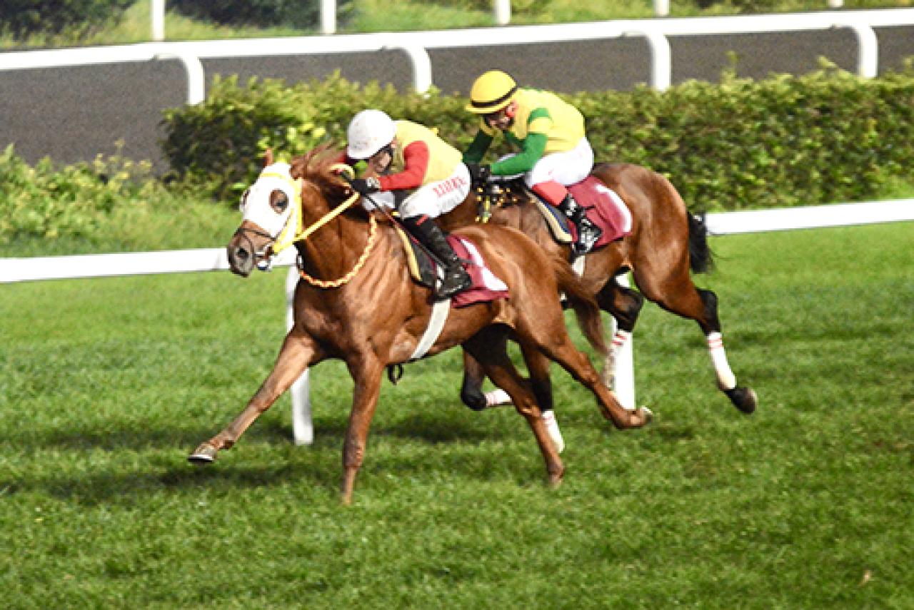 Fikret Çınaryılmaz Koşusu'nda kazanan Super Tomo oldu