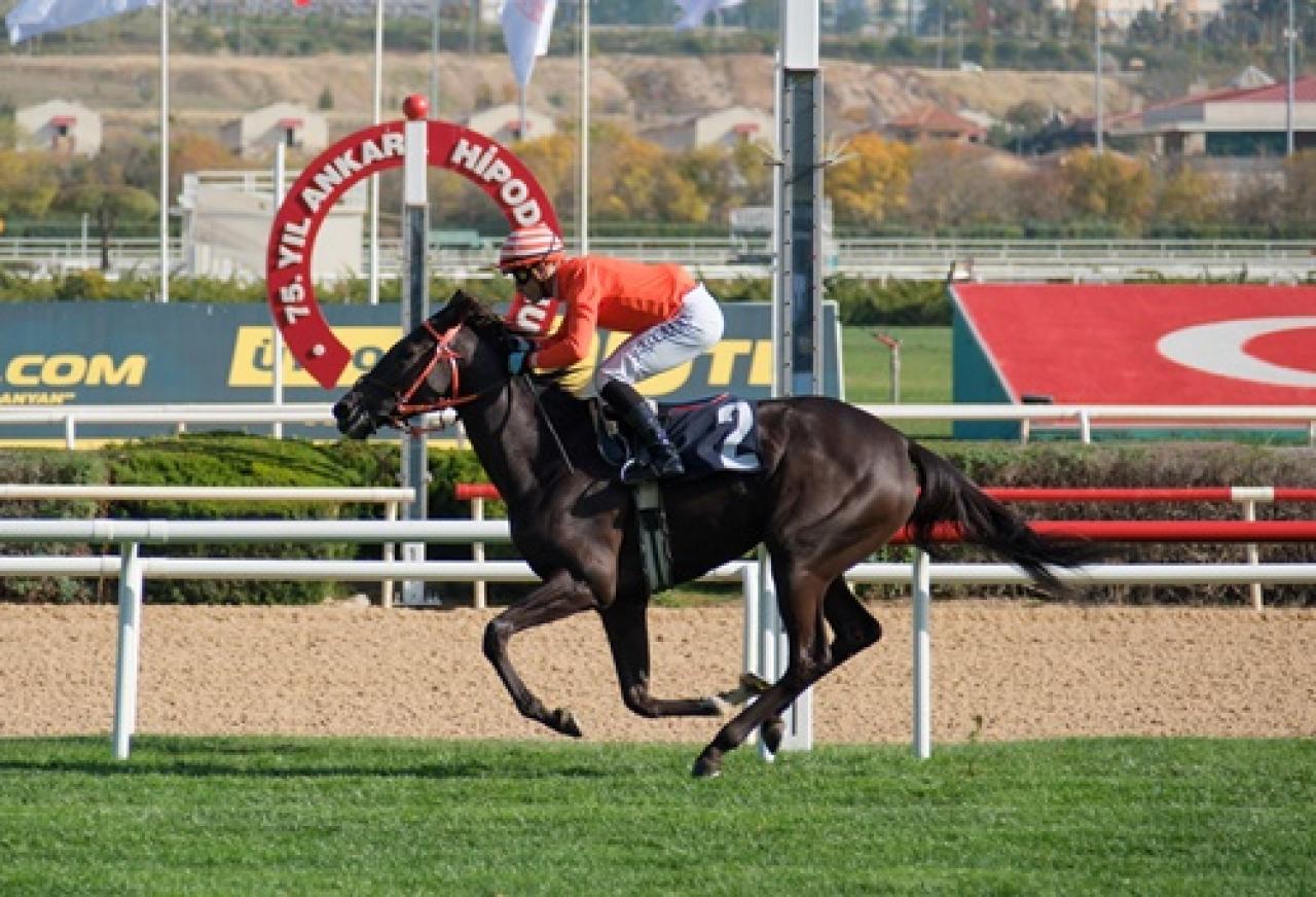 Altılıganyan.com Koşusu’nu Melian The Maia kazandı