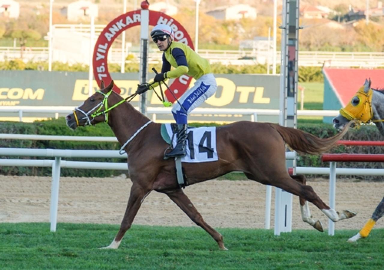 Büyük kupalar sahiplerini buldu