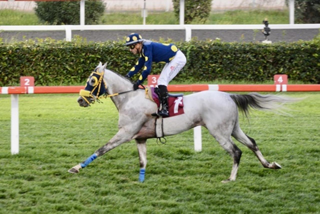 M. Muhlis Akalın Koşusu'nu Mister Win kazandı