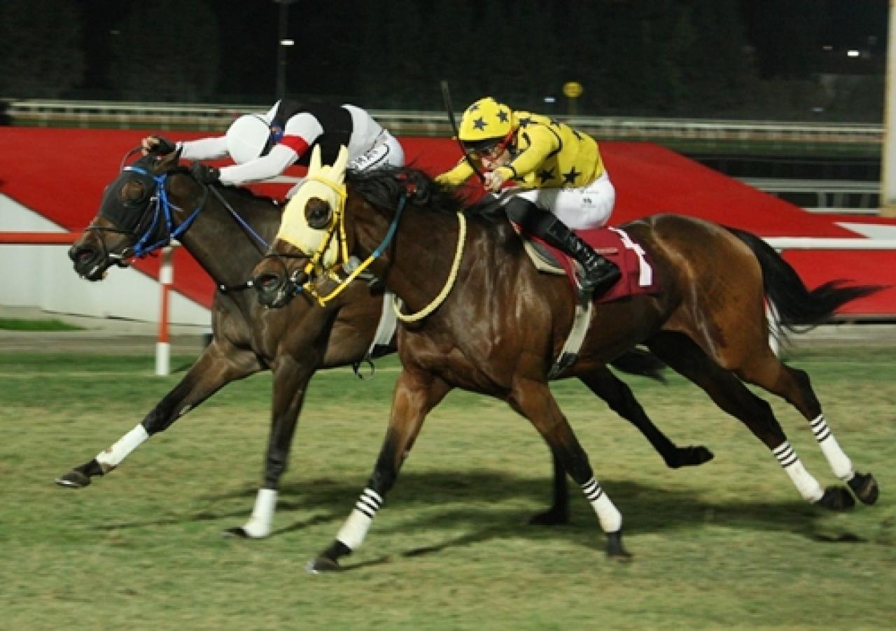 İskenderun Belediyesi Koşusu’nu Lady Sephora kazandı