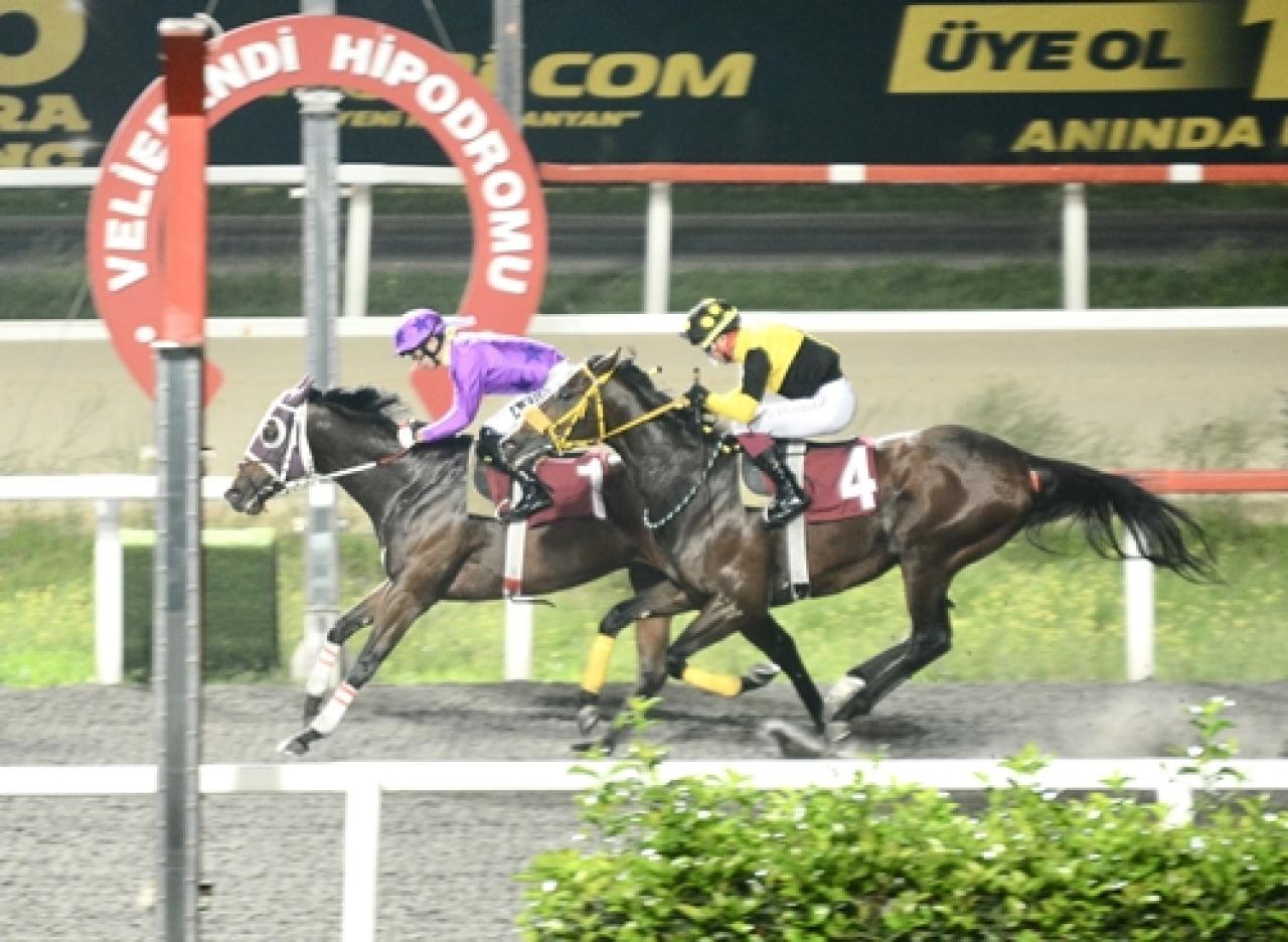 M. Necdet Narin Koşusu'nda galibiyete Bahrain ulaştı