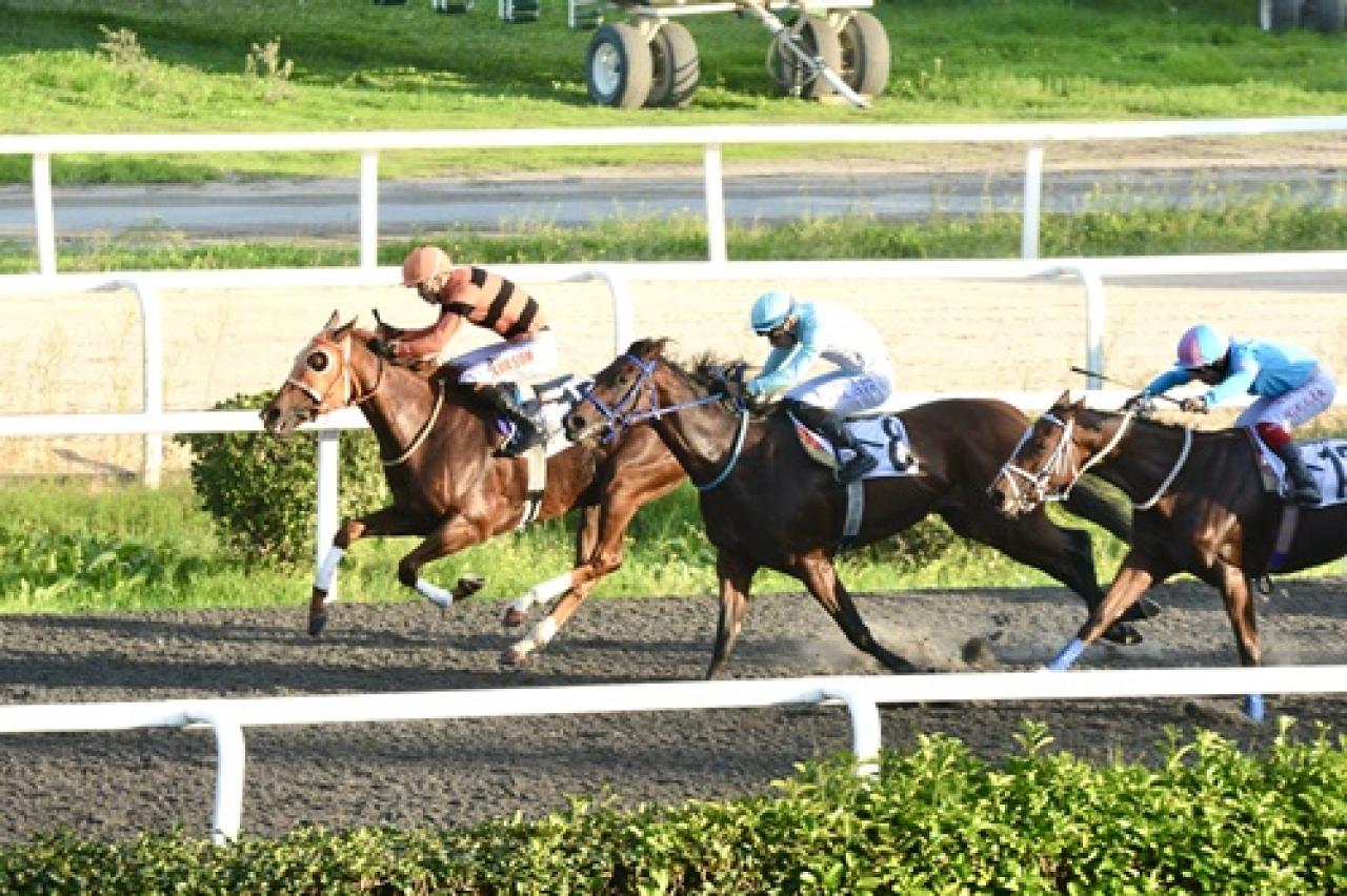 Dolmabahçe Koşusu'nda birinciliğe Shinny uzandı