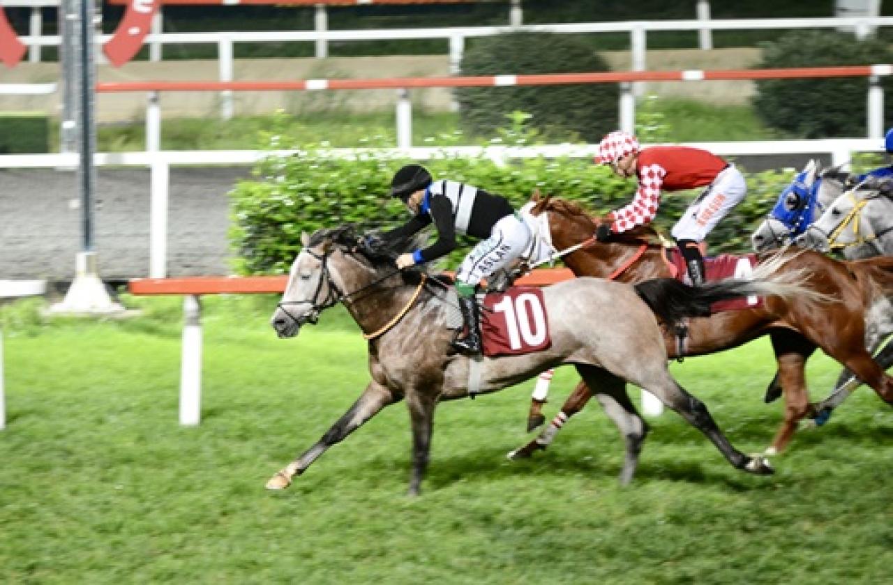 Murat Yazıcı Koşusu'nda kazanan Ersanşah oldu