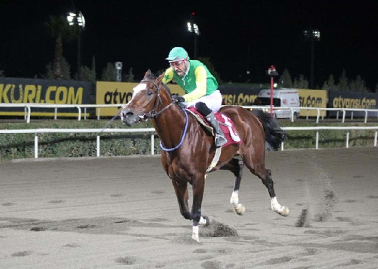 Hilvan Belediye Başkanlığı Koşusu’nu Pekalp kazandı