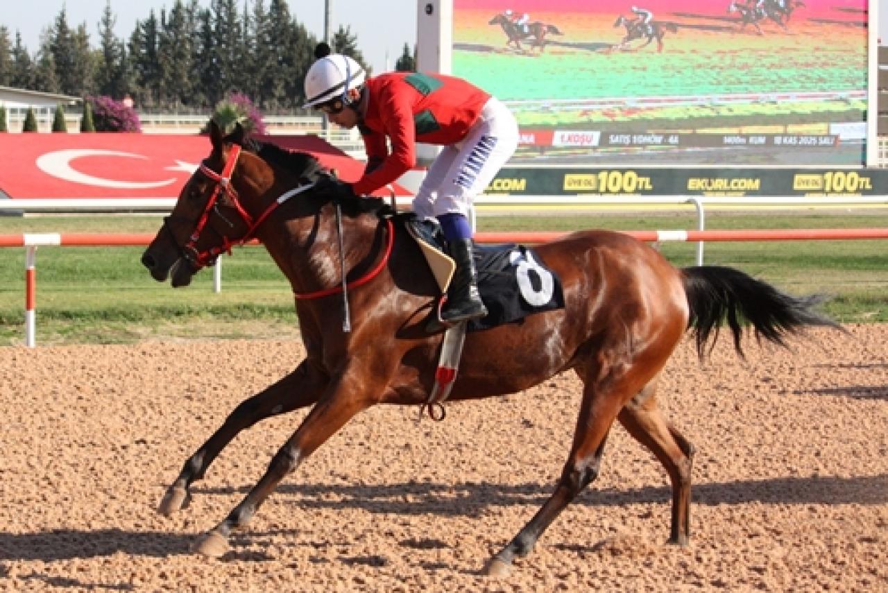 Adana’da Sonbahar - Kış Sezonu başladı