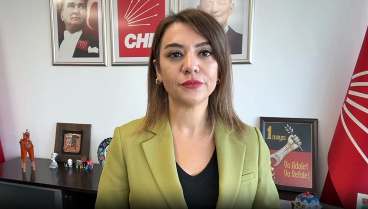 Gamze Taşcıer: İktidar, İşsizliği Bile Lüks Hâline Getirdi