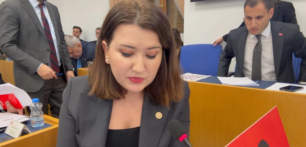 Gökçe Gökçen, TBMM Plan ve Bütçe Komisyonu’nda Adalet Bakanlığı Bütçesi Üzerine Konuştu