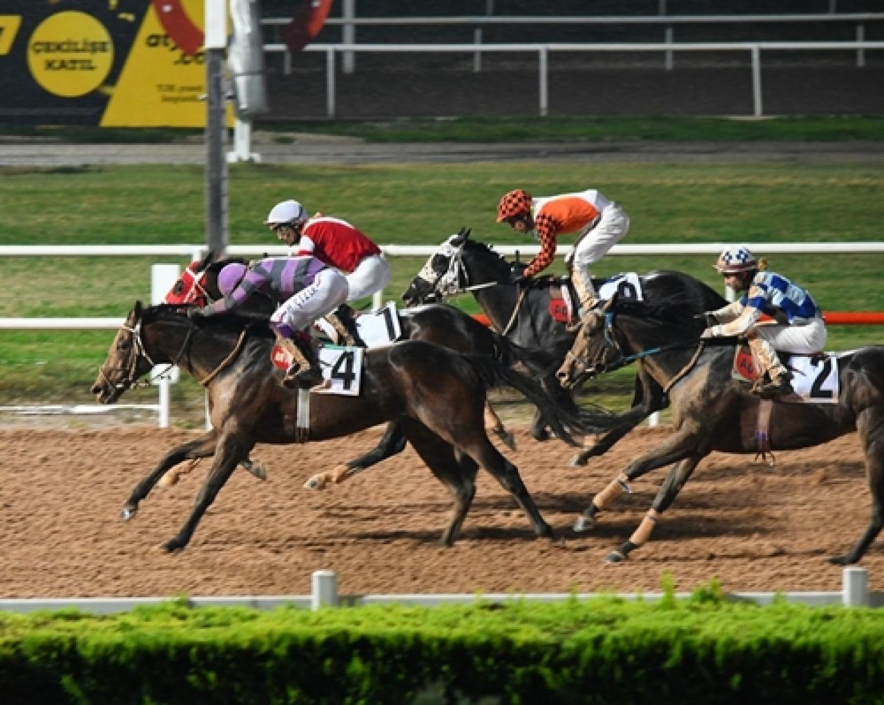 Hasan Basri Karabucak Koşusu'nda kazanan Kayı Beyi oldu