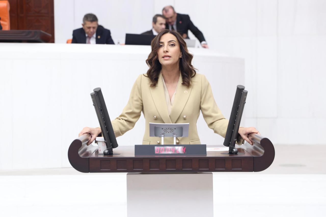 Evrim Rızvanoğlu: “Faiz Bütçesi Büyüyor, İklim ve Çevre Bütçesi Küçülüyor”