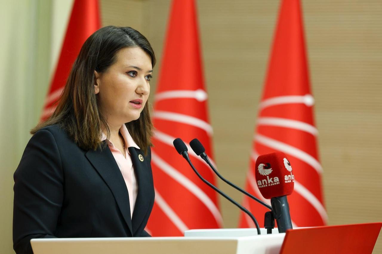 Gökçe Gökçen: “Mansur Yavaş, Ankara’da Talan Düzenini Bitirdiği İçin Hedef Alınmaktadır”