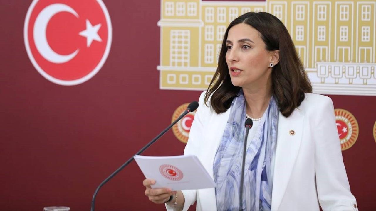 Evrim Rızvanoğlu: İstanbul’un Can Suyu, Ormanı ve Kültürel Mirası Talan Ediliyor