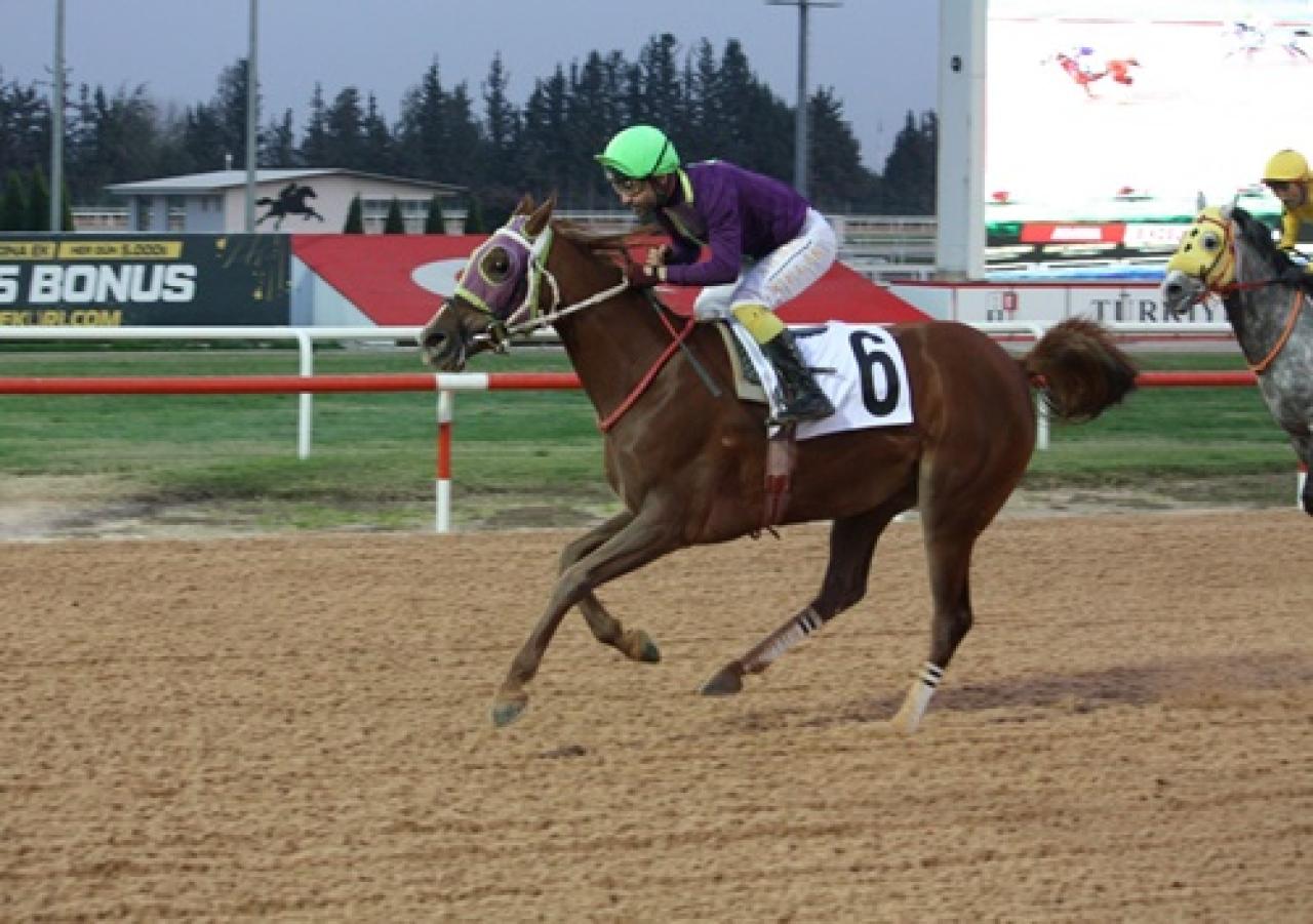 Adana'da düzenlenen G3 koşuyu Kalbimdesin kazandı