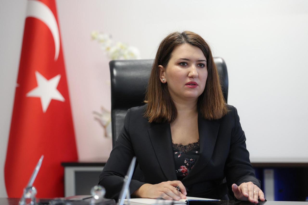 Gökçe Gökçen: Siyasetçilerin ve Gazetecilerin Sosyal Medya Paylaşımları Yasaklanırken Terör Örgütü Üyeleri Sosyal Medyada Nasıl Serbestçe Örgütlenebilmektedir?