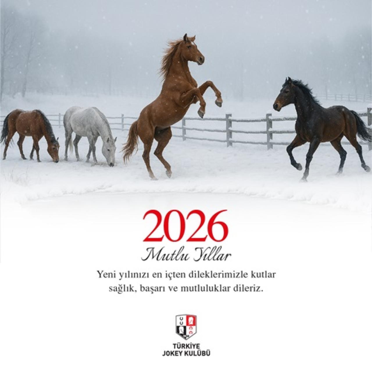 Yeni yılınızı en içten dileklerimizle kutlar, sağlık, başarı ve mutluluklar dileriz