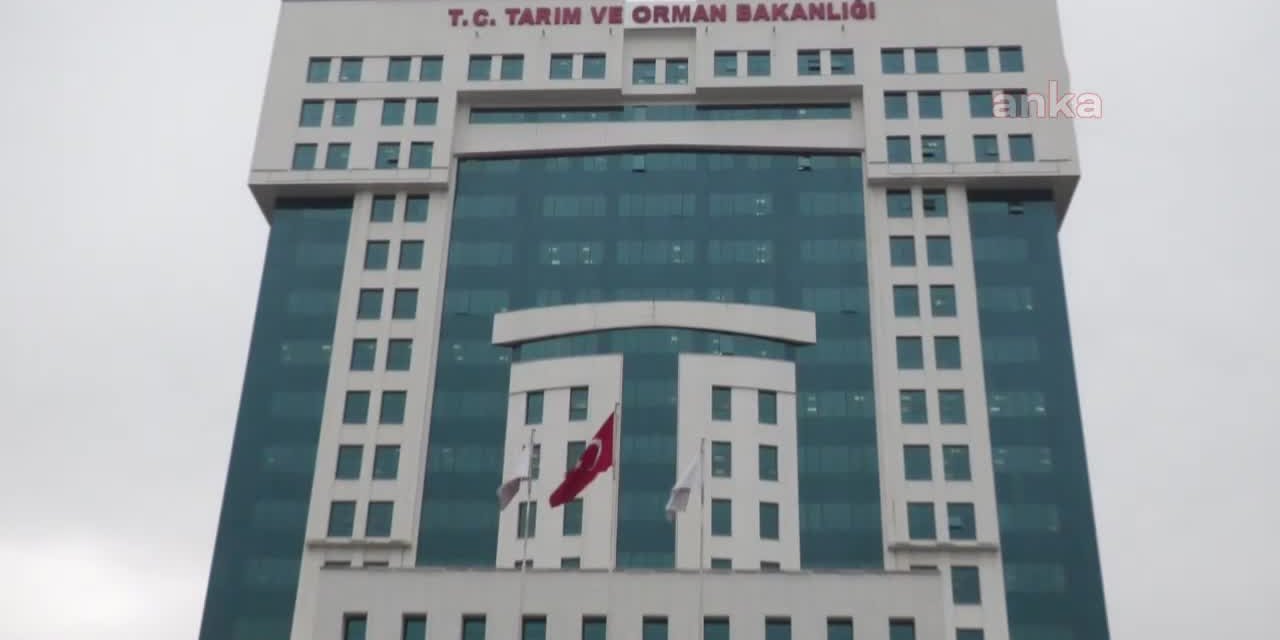 ÇİFTÇİLERE BORÇ YAPILANDIRMA İÇİN TANINAN SÜRE 31 TEMMUZ'DA DOLUYOR. ÜRETİCİLERE 'İCRA TAKİBİ' MESAJLARI GELMEYE BAŞLADI