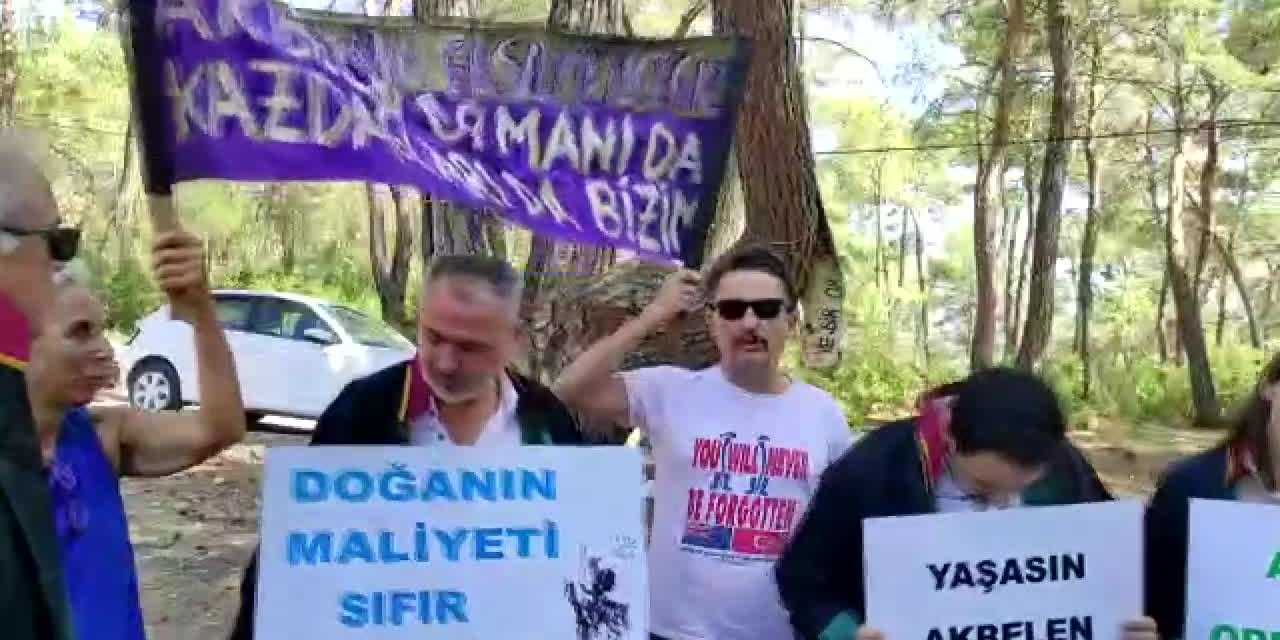 MUĞLA BAROSU’NDAN AKBELEN ORMANI İÇİN DESTEK ZİYARETİ: “TEK BİR AĞACIN KESİLMESİNE TAHAMMÜLÜMÜZ YOK”
