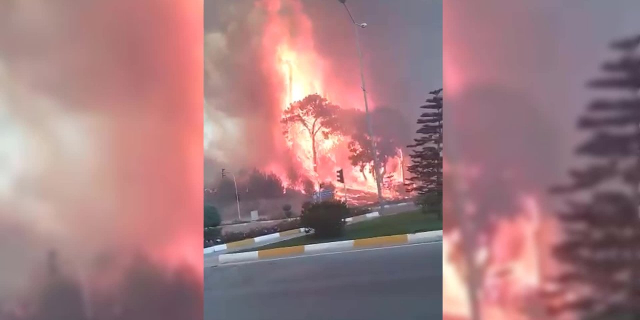MANAVGAT'TA ORMANLIK ALANDA YANGIN: ÇEVREDEKİ BAZI KONUTLAR BOŞALTILDI
