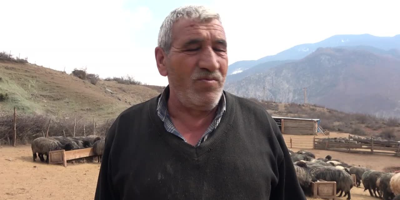 ARTVİNLİ YAYLACI MERA YASAKLARINA ÇÖZÜM BEKLİYOR: "BİZ BU İŞİ KEYİF AMAÇLI DEĞİL, ZORUNLULUKTAN YAPIYORUZ"