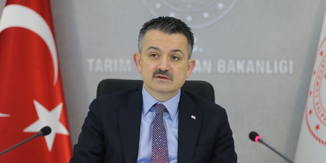 BAKAN PAKDEMİRLİ: ANTALYA'DAKİ YANGINDA 2 KİŞİ HAYATINI KAYBETTİ