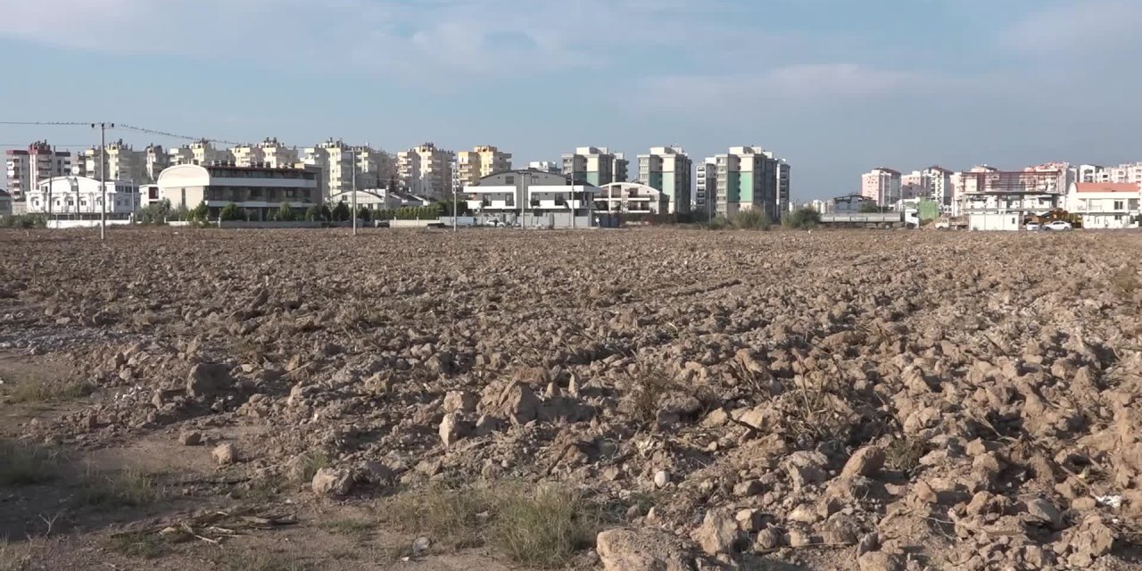 MURATPAŞA BELEDİYESİ, 20 TON BUĞDAY HASAT EDECEK