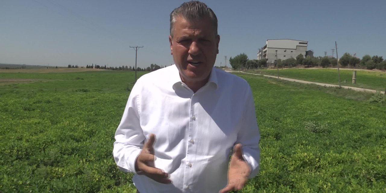 CHP’Lİ BARUT: YER FISTIĞI DA ALIM KAMPANYASINA DAHİL EDİLMELİ