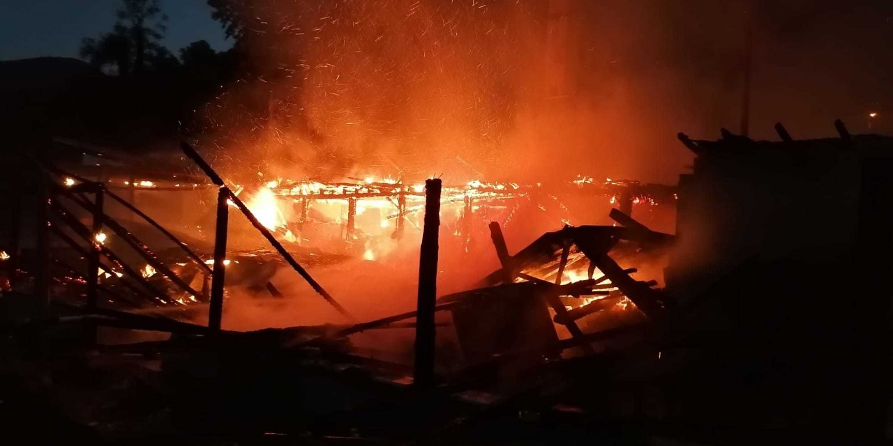 RESTORANDA ÇIKAN YANGIN ORMANA SIÇRADI