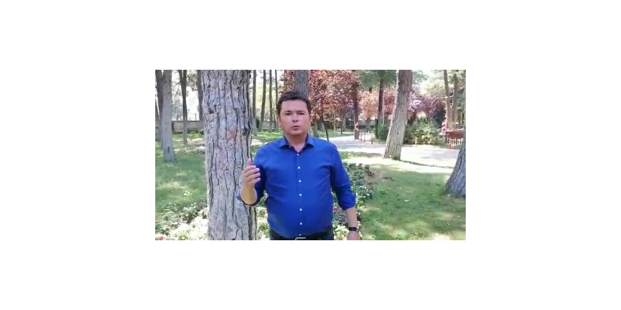 CHP'Lİ ERKAN AYDIN'DAN PAKDEMİRLİ'YE: "NİYE ELİN BAŞKA ÜLKELERİNE PARA VERİYORSUNUZ DA AYNI PARAYA UÇAK ALMIYORSUNUZ?"