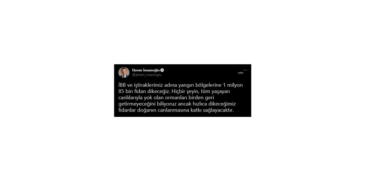 İMAMOĞLU: YANGIN BÖLGELERİNE 1 MİLYON 85 BİN FİDAN DİKECEĞİZ