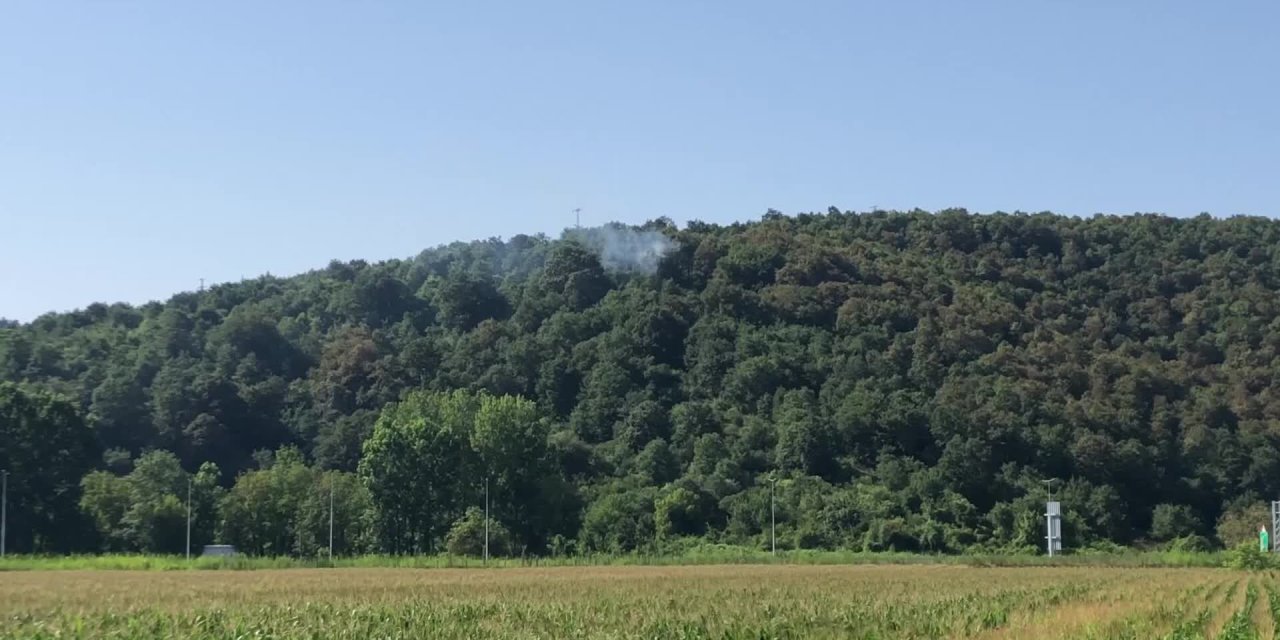 SAKARYA’DA ORMAN YANGINI UCUZ ATLATILDI