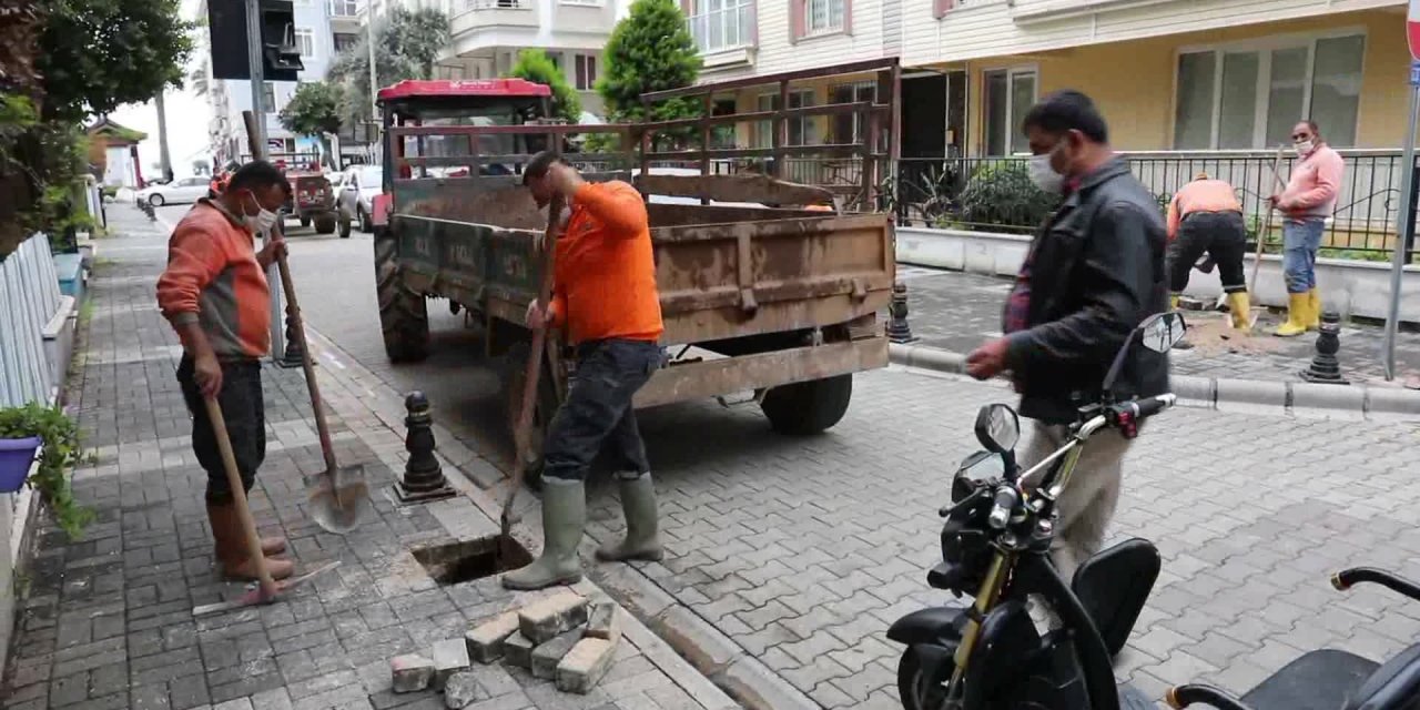 MARMARİS'TE SOKAKLAR LİMON KOKACAK