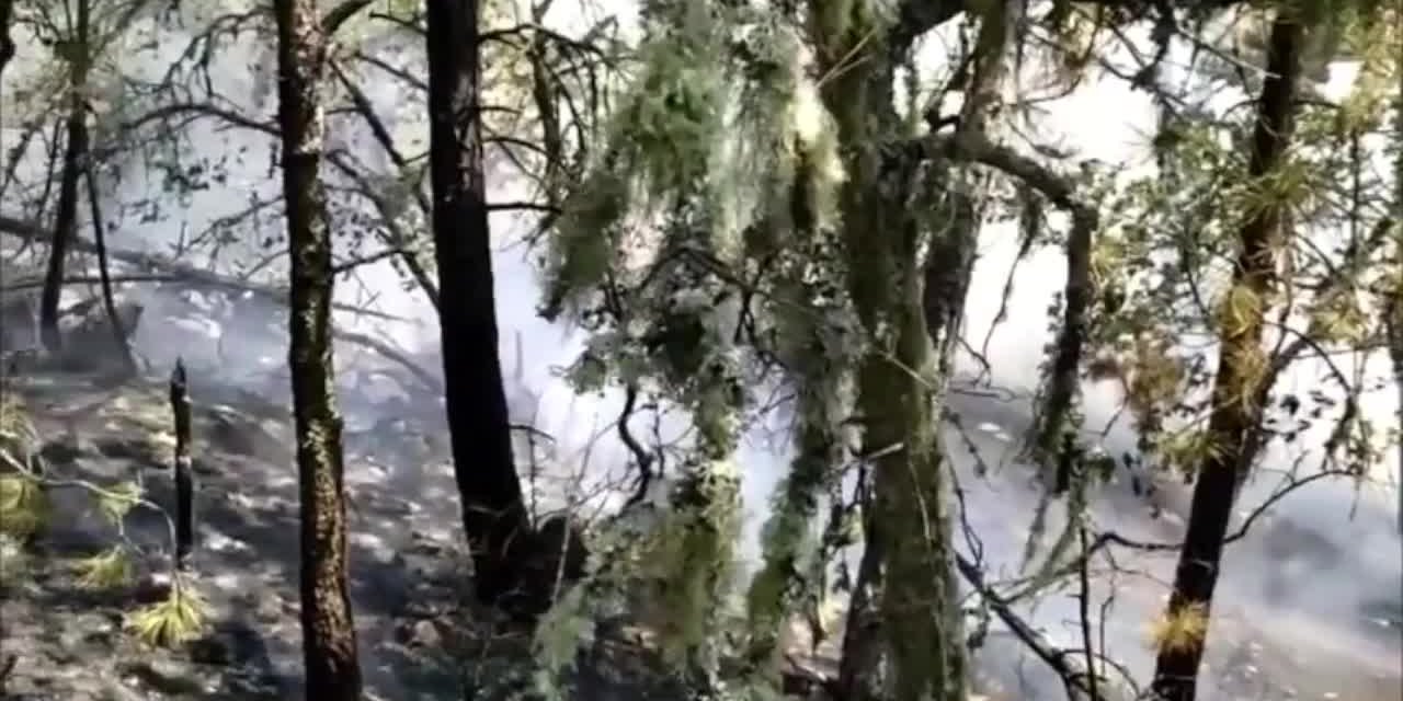 KASTAMONU’DA ÇIKAN ORMAN YANGINI BÜYÜMEDEN KONTROL ALTINA ALINDI