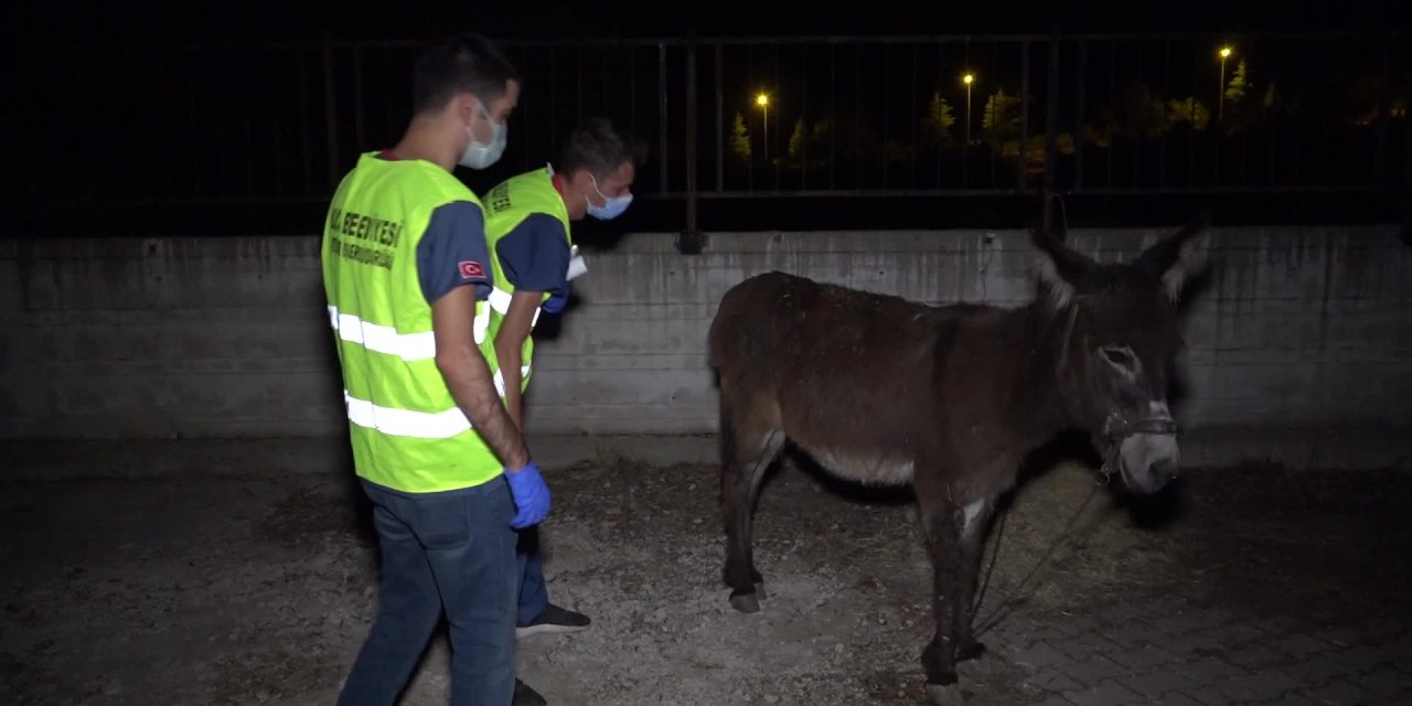 BUCA BELEDİYESİ'NDEN MANAVGAT'A DESTEK