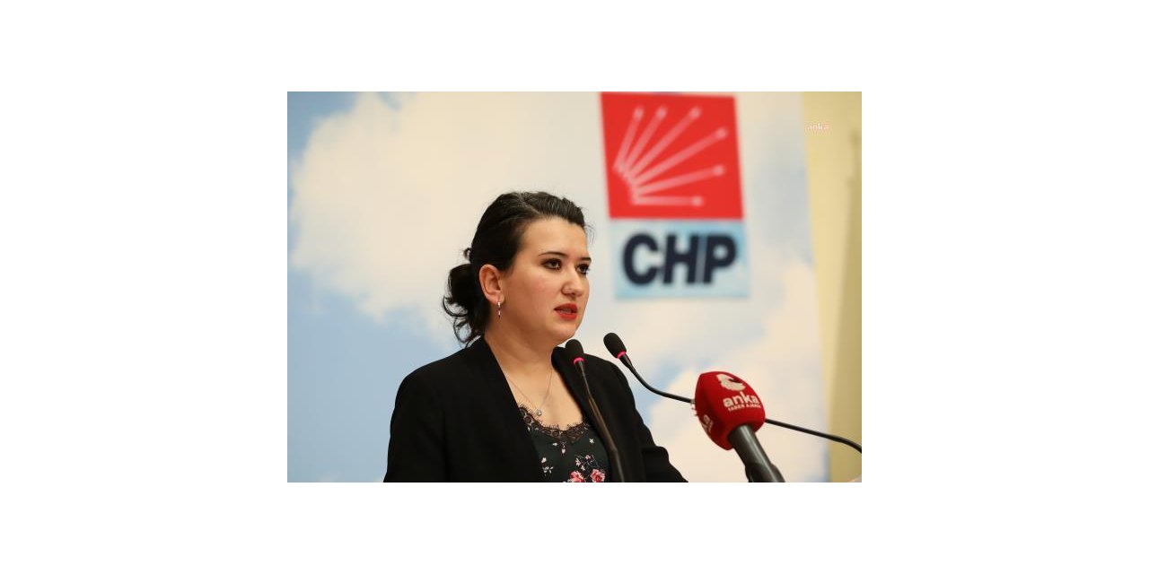 CHP'Lİ GÖKÇEN: ÜLKE KAYNAKLARININ NE KADAR KÖTÜ YÖNETİLDİĞİ BİR KEZ DAHA GÜN YÜZÜNE ÇIKTI
