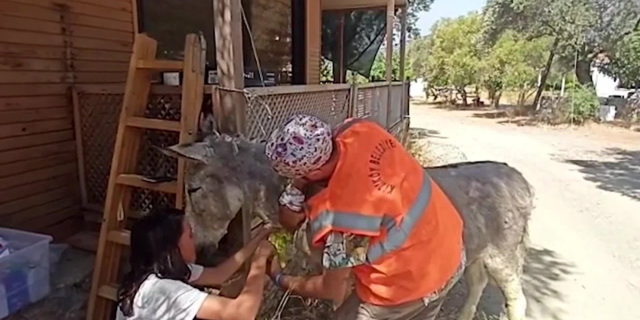 KADIKÖY BELEDİYESİ YANGIN BÖLGELERİNE YENİ BİR EKİP DAHA GÖNDERDİ