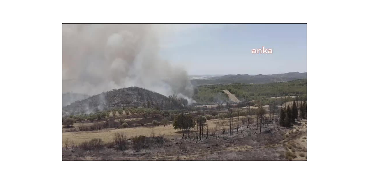 ORMANLAR YANIYOR, YAPILAŞMA ENDİŞESİ BÜYÜYOR: YANAN ORMANLARIN ÜÇ KATI ALAN ORMAN DIŞI FAALİYETLERE AÇILDI