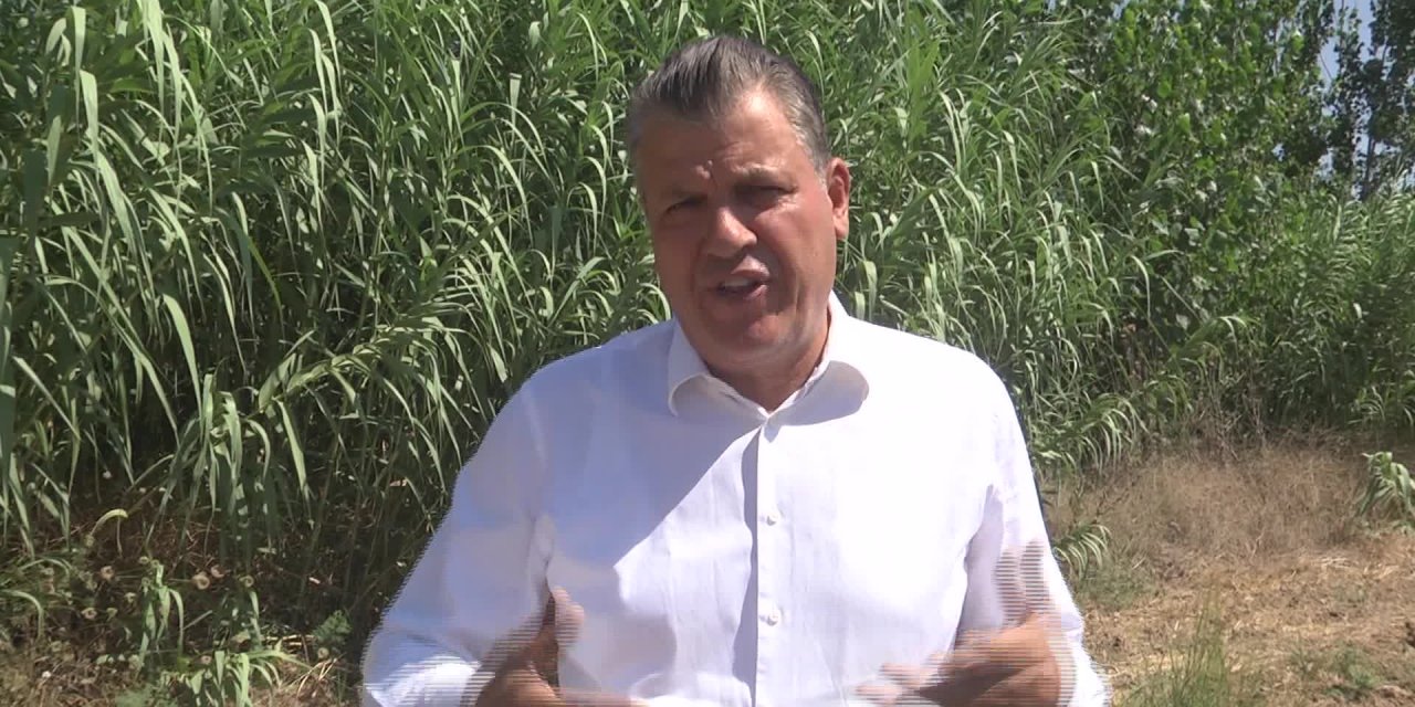 CHP'Lİ BARUT: "AYÇİÇEĞİ FİYATINI 5,5-6 TL OLARAK AÇIKLAYIN, ÜRETİCİYİ MAĞDUR ETMEYİN"