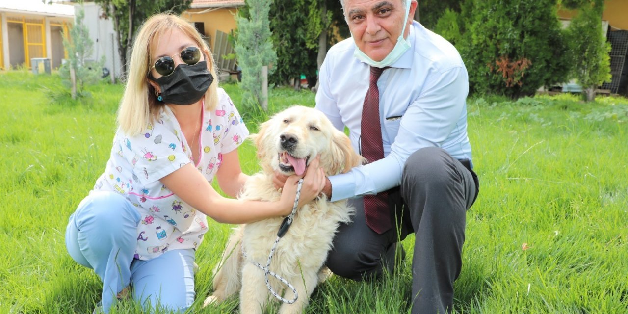 ODUNPAZARI BELEDİYESİ SOKAK HAYVANLARINI SAHİPLENDİRİYOR