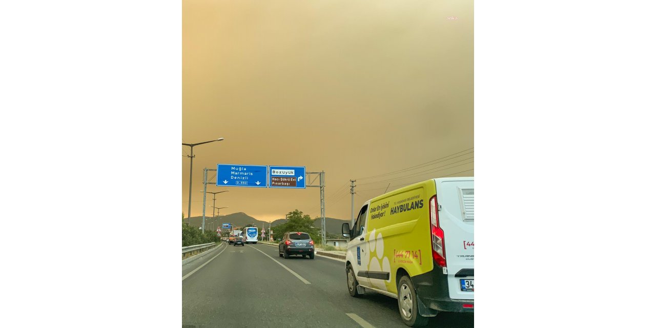 HAYBULANS, YANGINDAN ETKİLENEN HAYVANLAR İÇİN MARMARİS’E DOĞRU YOLA ÇIKTI
