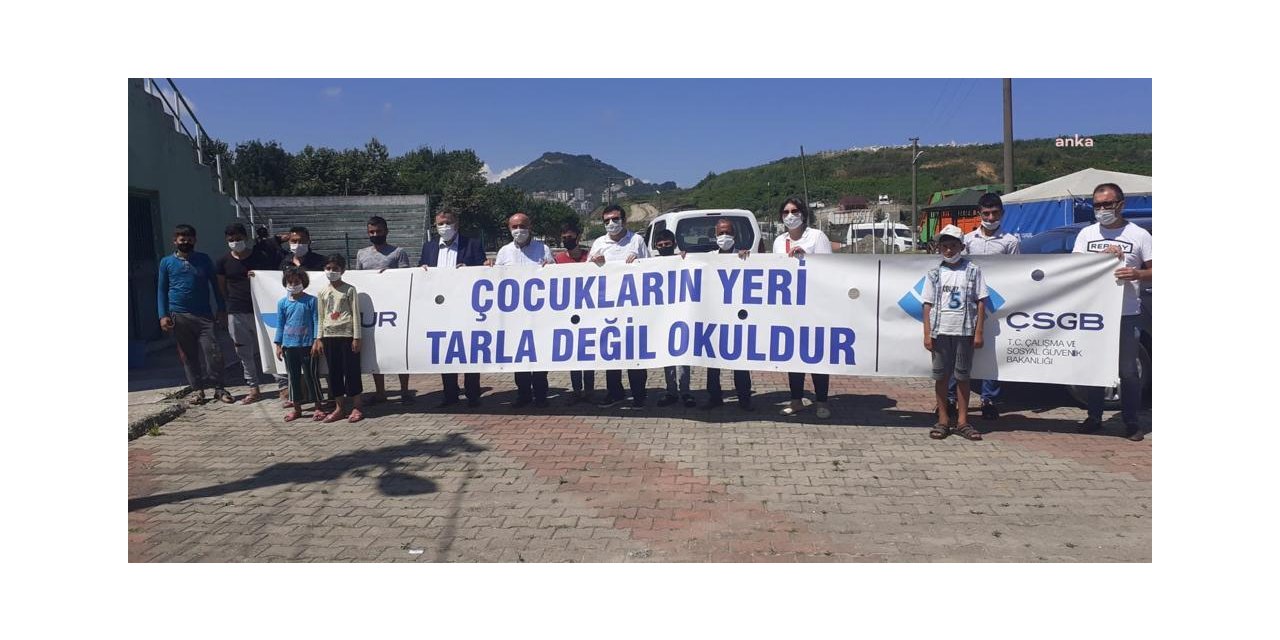 GİRESUN'DAKİ FINDIK HASADINDA ÇOCUK VE YABANCI İŞÇİÇALIŞTIRANLARA PARA CEZASI KESİLECEK
