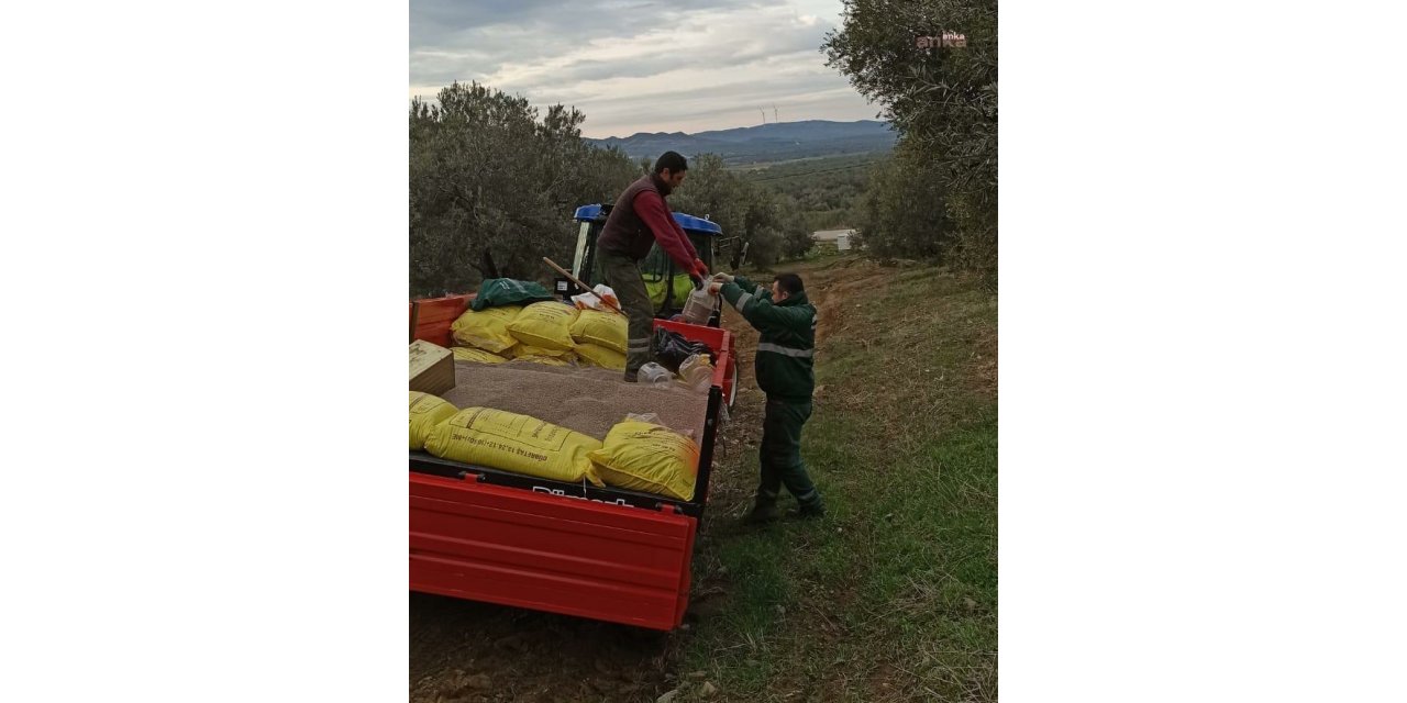 MAZOT VE GÜBRE DESTEĞİÖDEMELERİ BUGÜN BAŞLIYOR