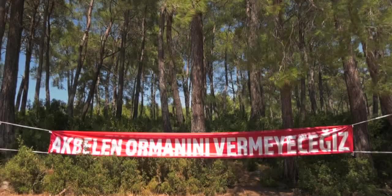 AKBELEN ORMANLARININ KESİLMEMESİİÇİN DİRENEN KÖYLÜ: “BİR TANE BİLE AĞAÇ KESTİRMEYECEĞİZ, YAKTIRMAYACAĞIZ DA…”