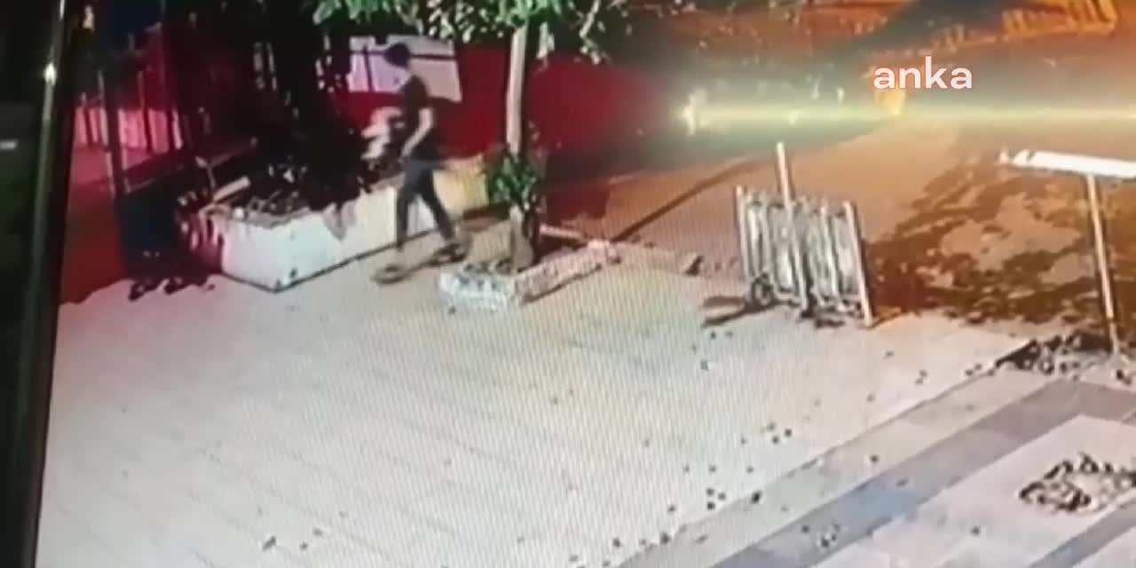 MAHALLENİN KEDİSİNİÖLDÜREN İKİ KİŞİ YAKALANDI, BİRİ TUTUKLANDI