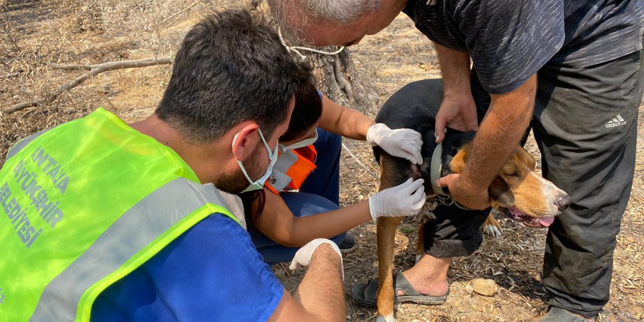 ANTALYA BÜYÜKŞEHİR BELEDİYESİNDEN YANGIN MAĞDURLARINA SOSYAL YARDIM