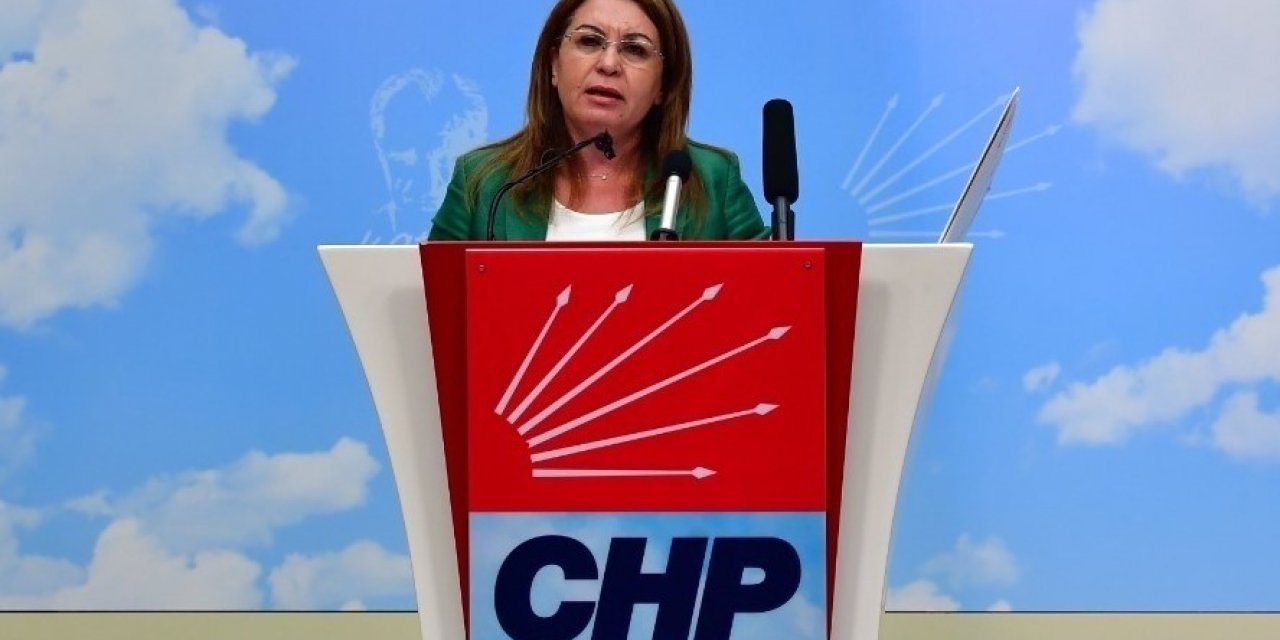 CHP'Lİ KARACA, SOYLU VE OKTAY'A AFGAN GÖÇMENLERİ SORDU