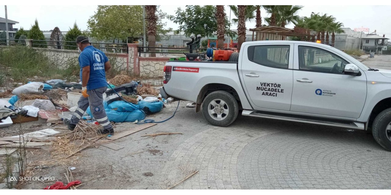 ANTALYA BÜYÜKŞEHİR BELEDİYESİ YANGIN BÖLGELERİNİİLAÇLIYOR