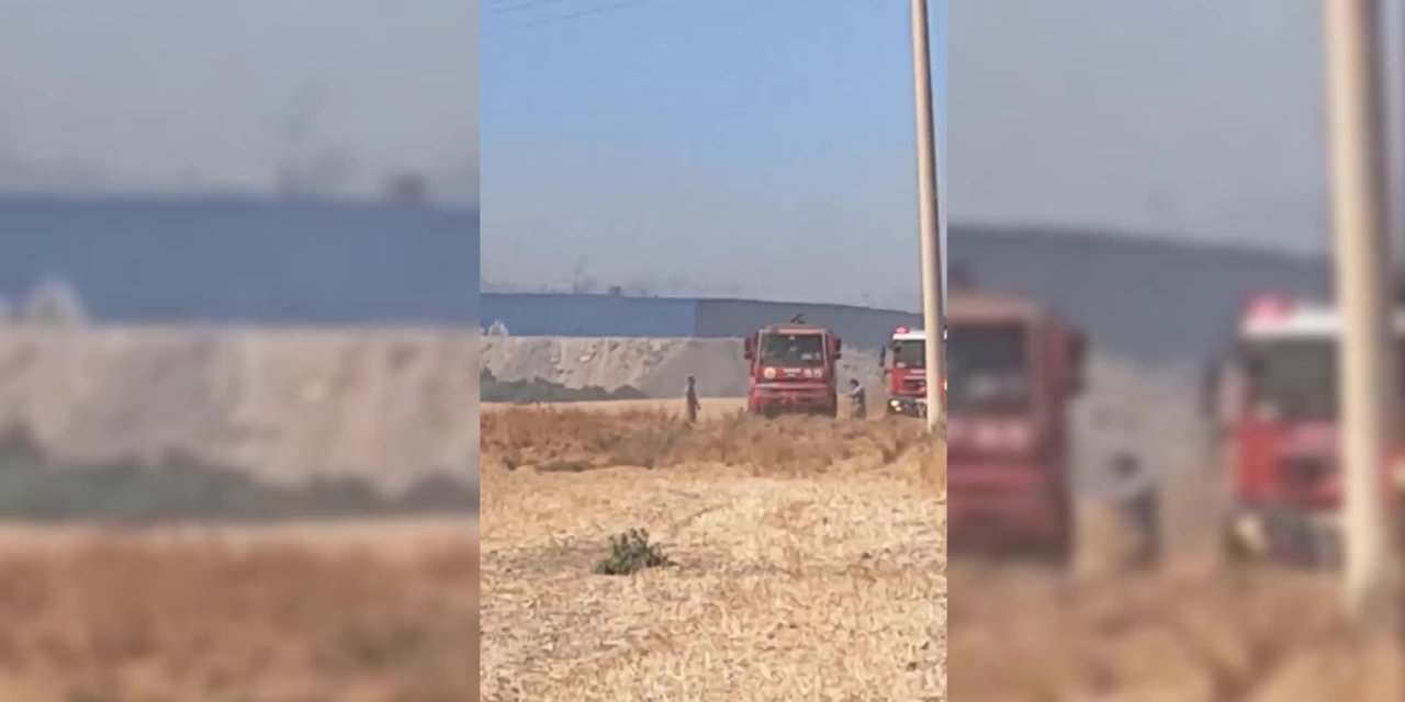 FOÇA'DA ORMAN YANGINI